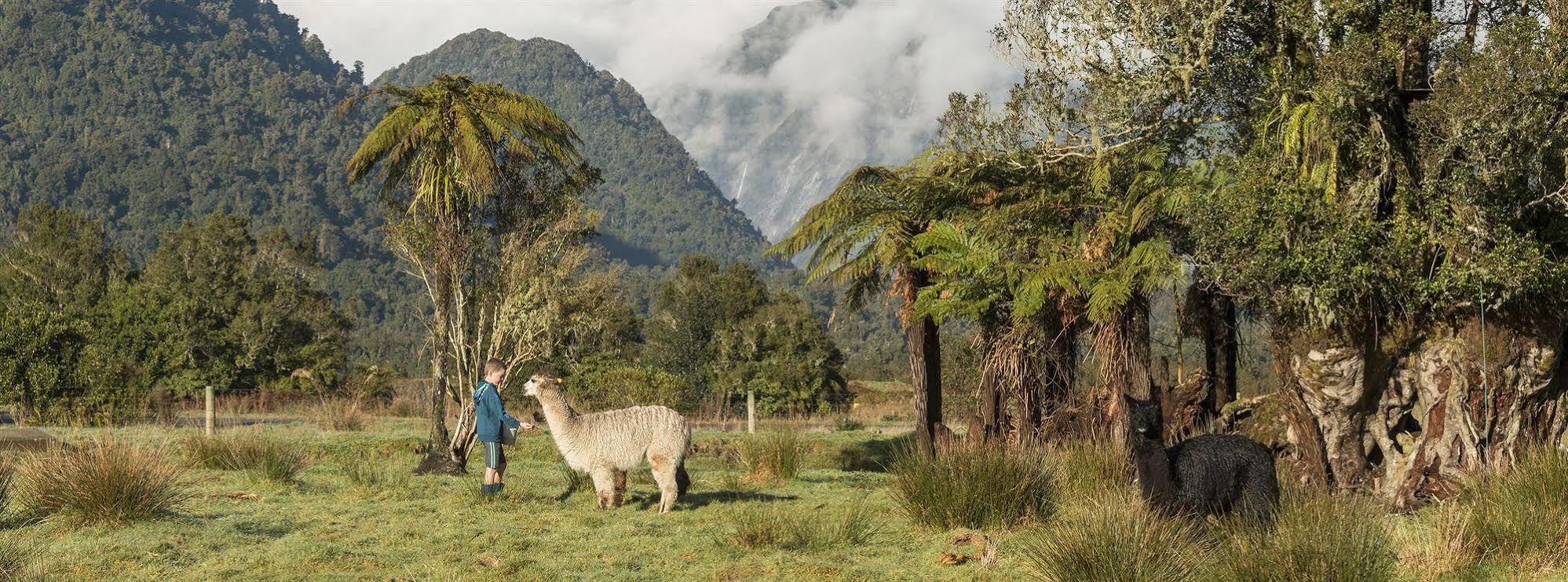 Glenfern Villas Franz Josef Dış mekan fotoğraf